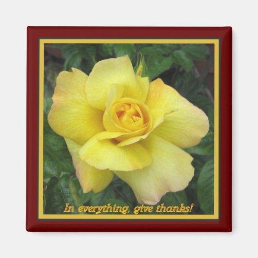 Gelbe Rose Magnet (Vorne)