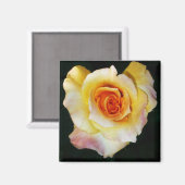 Gelbe Rose Magnet (Vorderseite/Rückseite)