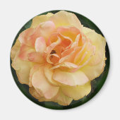 Gelbe Rose Magnet (Vorne)