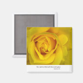 Gelbe Rose Magnet (Vorderseite/Rückseite)