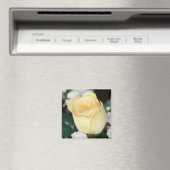Gelbe Rose Magnet (In Situ (Geschirrspüler))