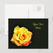 Gelbe Rose mit Regentropfen Postkarte (Vorne/Hinten)