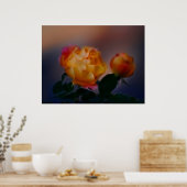 Gelbe Rose mit rosa und rosa Bedeutung Poster (Küche)