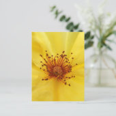 Gelbe Rose Mitte Postkarte (Stehend Vorderseite)