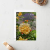 Gelbe Rose Mitteilungskarte (Vorderseite/Rückseite Beispiel)
