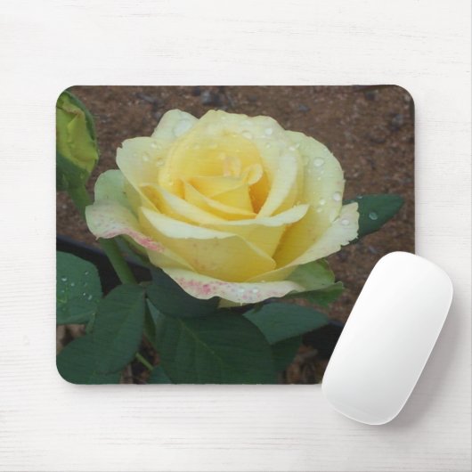 Gelbe Rose Mousepad (Mit Mouse)