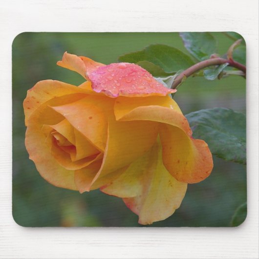 Gelbe Rose Mousepad (Vorne)
