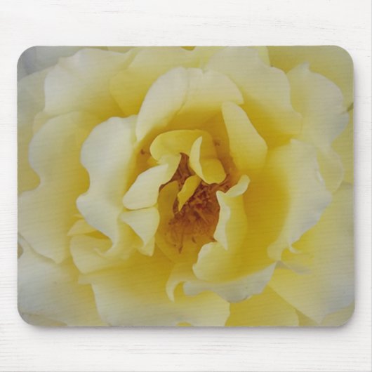 Gelbe Rose Mousepad (Vorne)