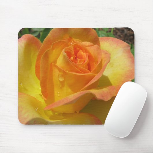 Gelbe Rose Mousepad (Mit Mouse)