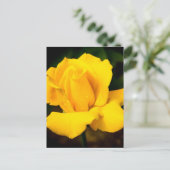 Gelbe Rose - Nach dem Regen Postkarte (Stehend Vorderseite)