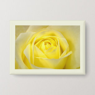 Gelbe Rose Nahaufnahme Button