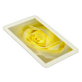Gelbe Rose Nahaufnahme Magnet (Rechte Seite)