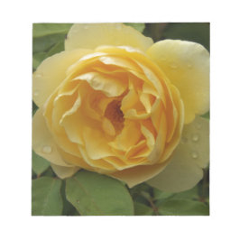 Gelbe Rose Notizblock