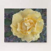 Gelbe Rose, Oakland Puzzle (Horizontal)