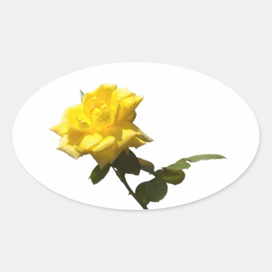 Gelbe Rose Ovaler Aufkleber (Vorderseite)