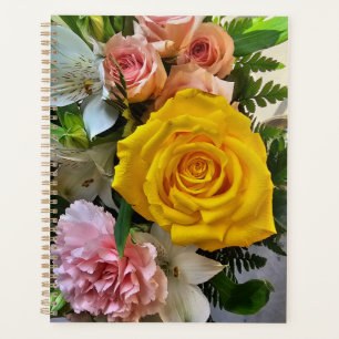Gelbe Rose Planer