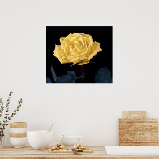 Gelbe Rose Poster (Küche)