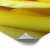 Gelbe Rose Poster (Ecke)