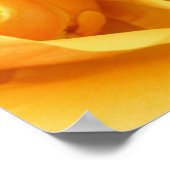 Gelbe Rose Poster (Ecke)