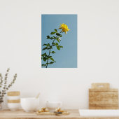 Gelbe Rose Poster (Küche)