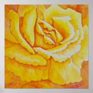Gelbe Rose Poster
