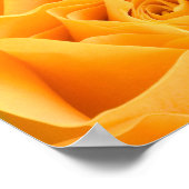 Gelbe Rose Poster (Ecke)