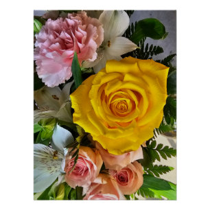 Gelbe Rose Poster