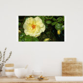 Gelbe Rose Poster (Küche)