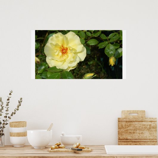 Gelbe Rose Poster (Küche)