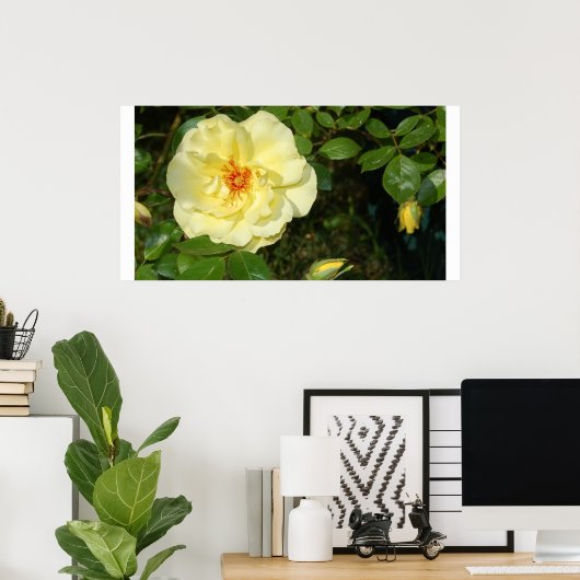 Gelbe Rose Poster (Heimbüro)