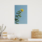 Gelbe Rose Poster (Küche)