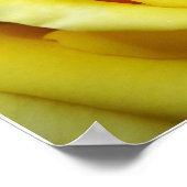 Gelbe Rose Poster (Ecke)