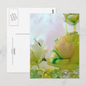 Gelbe Rose Postkarte (Vorne/Hinten)