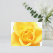Gelbe Rose Postkarte (Stehend Vorderseite)