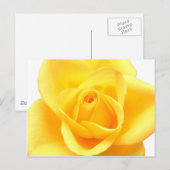 Gelbe Rose Postkarte (Vorne/Hinten)