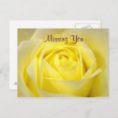 Gelbe Rose Postkarte (Vorne/Hinten)