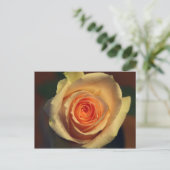 Gelbe Rose Postkarte (Stehend Vorderseite)