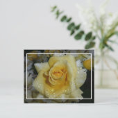 Gelbe Rose Postkarte (Stehend Vorderseite)