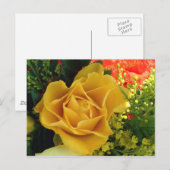 Gelbe Rose | Postkarte (Vorne/Hinten)