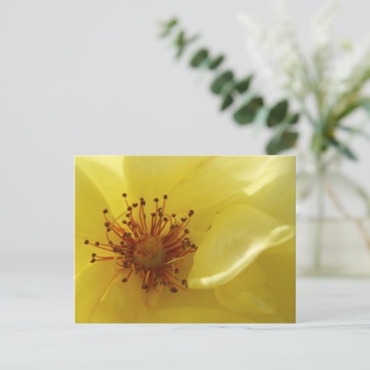 Gelbe Rose Postkarte (Stehend Vorderseite)