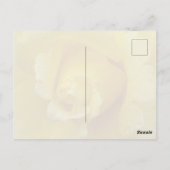 Gelbe Rose Postkarte (Rückseite)