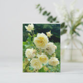 Gelbe Rose Postkarte (Stehend Vorderseite)