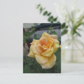 Gelbe Rose Postkarte (Stehend Vorderseite)