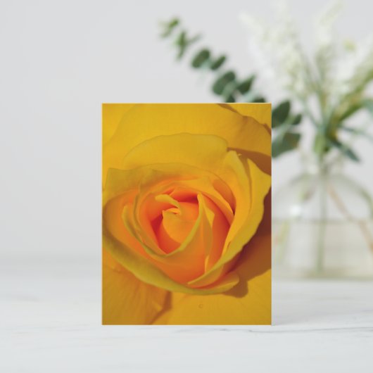 Gelbe Rose Postkarte (Stehend Vorderseite)