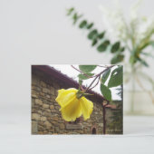 Gelbe Rose. Postkarte (Stehend Vorderseite)