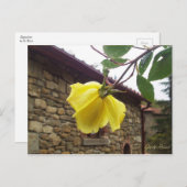 Gelbe Rose. Postkarte (Vorne/Hinten)