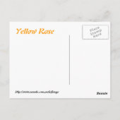 Gelbe Rose Postkarte (Rückseite)