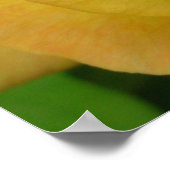 Gelbe Rose Print Beautiful Blume Poster Print (Ecke)