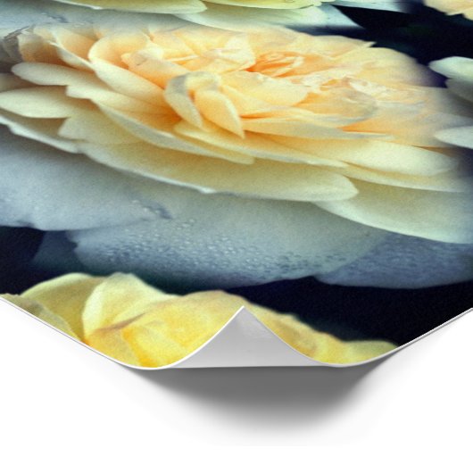 Gelbe Rose Raindrops Abstrakt Poster (Ecke)