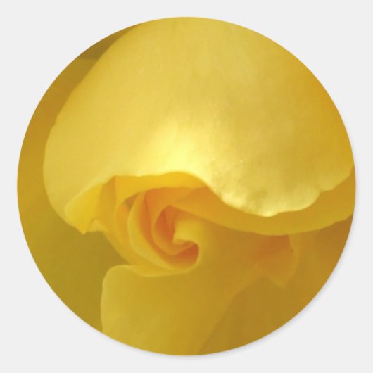 Gelbe Rose Runder Aufkleber (Vorderseite)